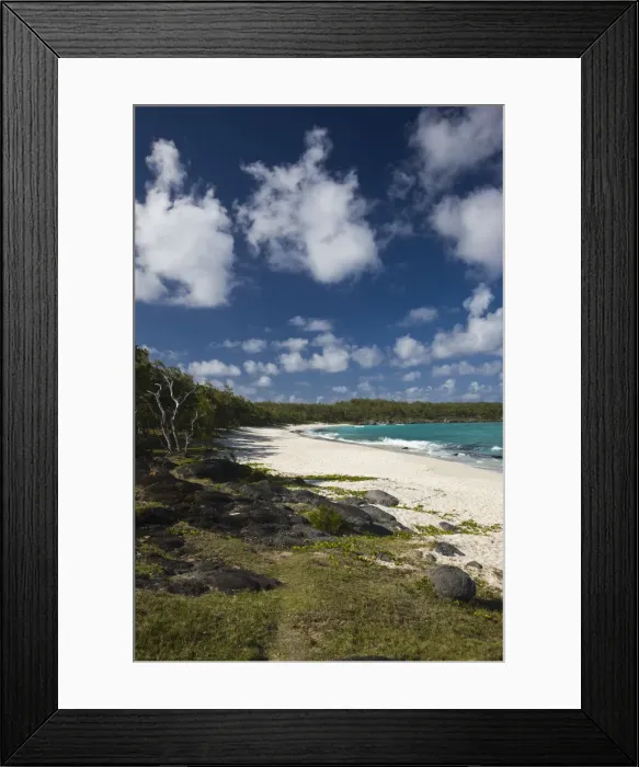 Framed Print : DDE-90021197 Framed Print : DDE-90021197