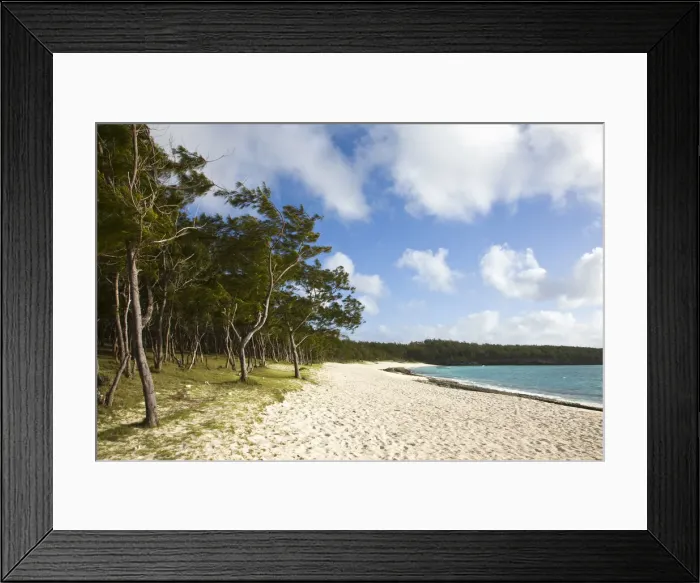 Framed Print : DDE-90021198 Framed Print : DDE-90021198