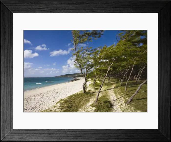 Framed Print : DDE-90021200 Framed Print : DDE-90021200