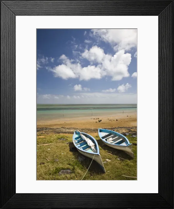 Framed Print : DDE-90021201 Framed Print : DDE-90021201