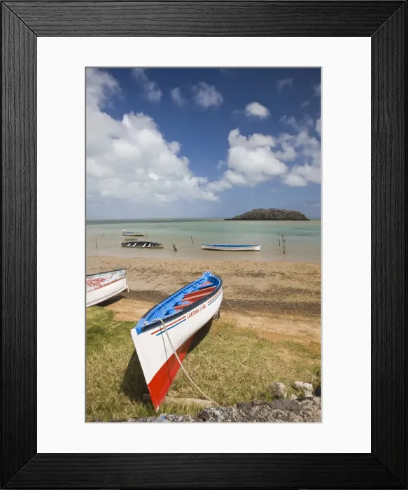 Framed Print : DDE-90021202