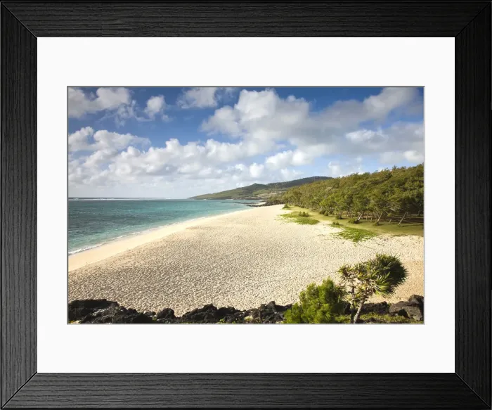 Framed Print : DDE-90021205 Framed Print : DDE-90021205