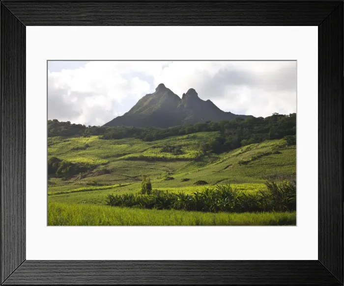 Framed Print : DDE-90021207 Framed Print : DDE-90021207