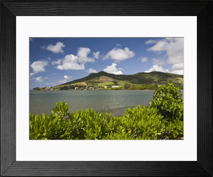 Framed Print : DDE-90021208