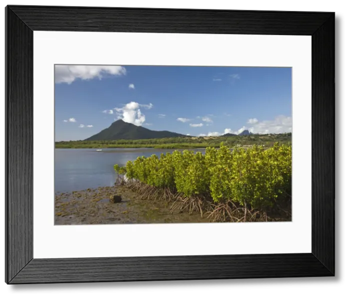 Framed Print : DDE-90021212 Framed Print : DDE-90021212