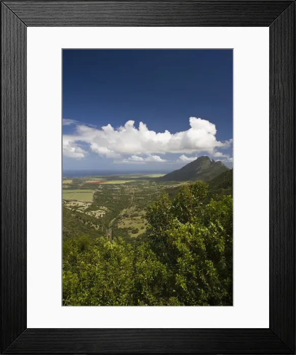 Framed Print : DDE-90021214 Framed Print : DDE-90021214