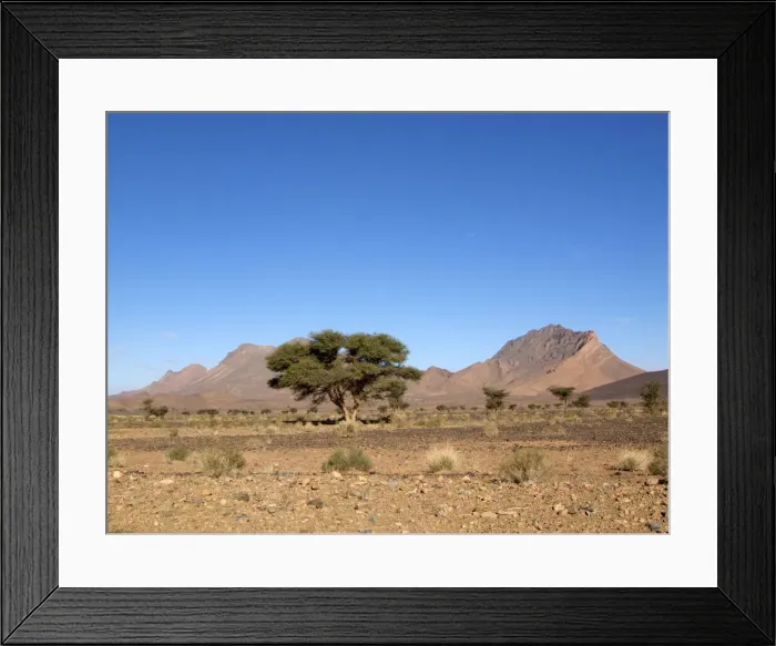Framed Print : DDE-90021220 Framed Print : DDE-90021220