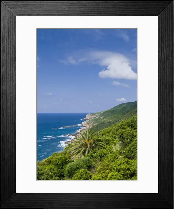 Framed Print : DDE-90021227