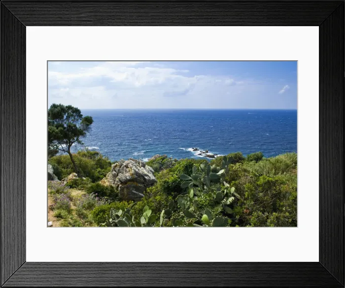Framed Print : DDE-90021228