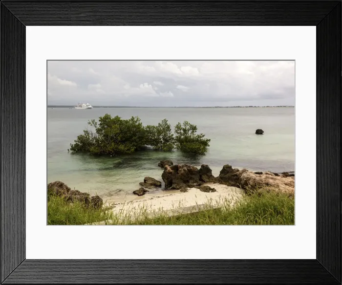 Framed Print : DDE-90021237 Framed Print : DDE-90021237