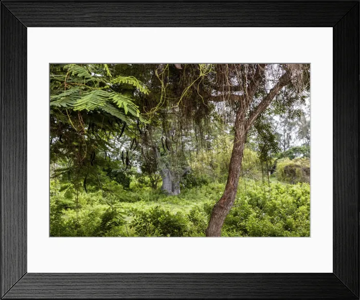 Framed Print : DDE-90021238 Framed Print : DDE-90021238