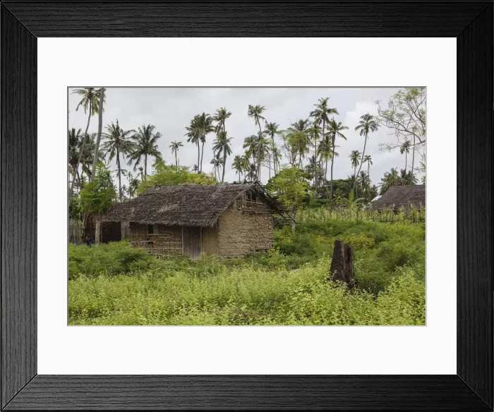 Framed Print : DDE-90021239 Framed Print : DDE-90021239