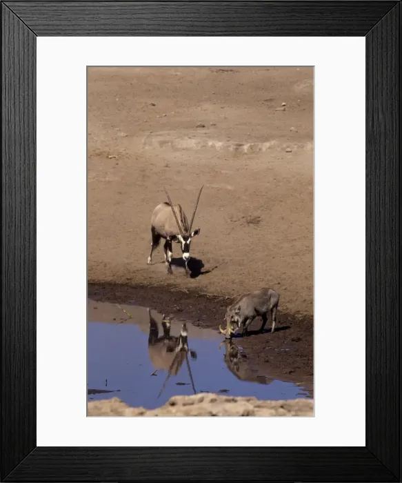 Framed Print : DDE-90021250 Framed Print : DDE-90021250