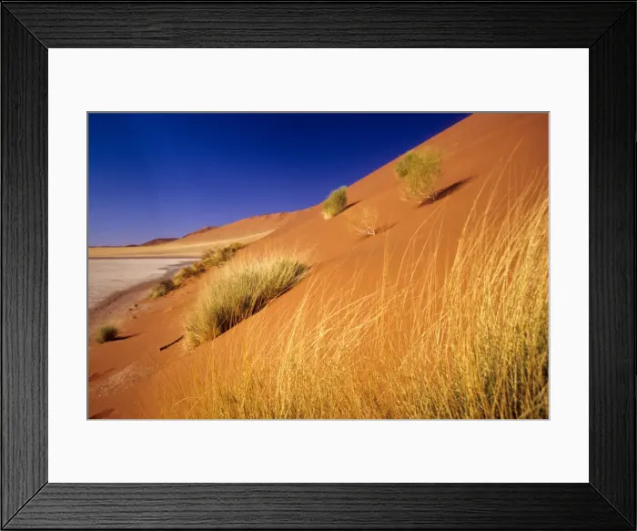 Framed Print : DDE-90021252 Framed Print : DDE-90021252