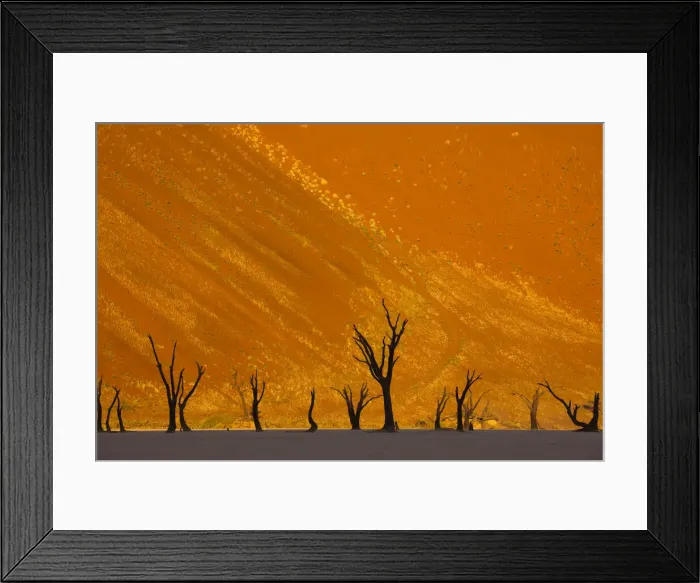 Framed Print : DDE-90021255 Framed Print : DDE-90021255