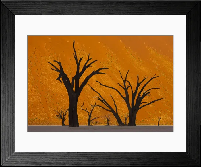 Framed Print : DDE-90021256 Framed Print : DDE-90021256