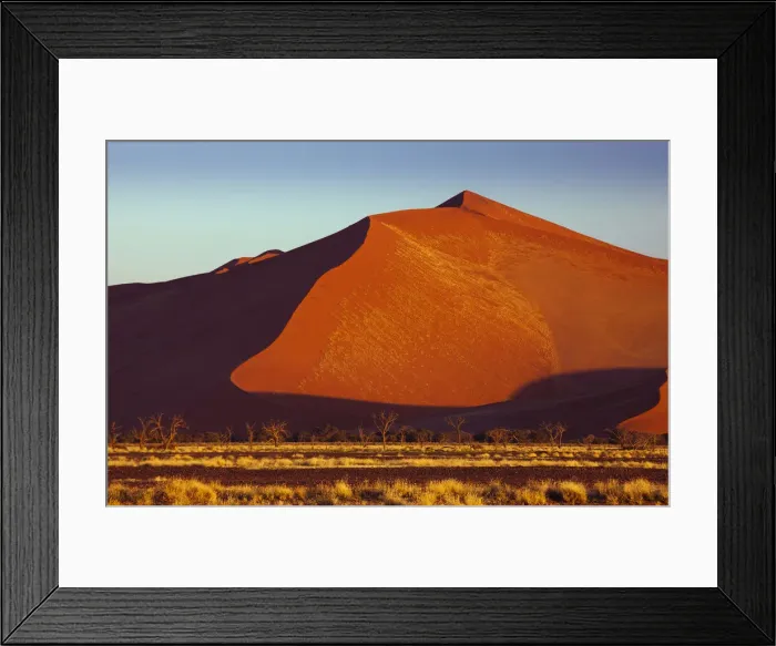 Framed Print : DDE-90021257 Framed Print : DDE-90021257