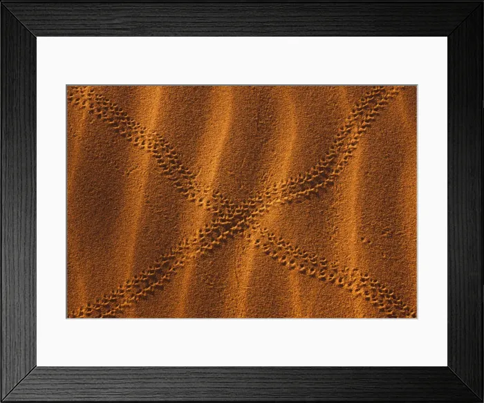 Framed Print : DDE-90021258 Framed Print : DDE-90021258