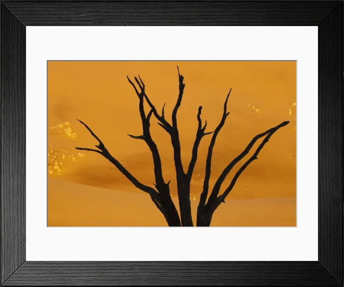 Framed Print : DDE-90021266 Framed Print : DDE-90021266