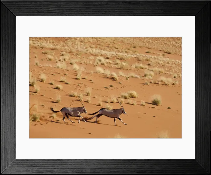 Framed Print : DDE-90021267