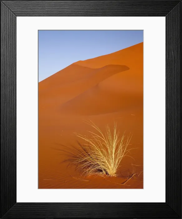 Framed Print : DDE-90021268 Framed Print : DDE-90021268