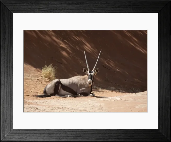 Framed Print : DDE-90021269
