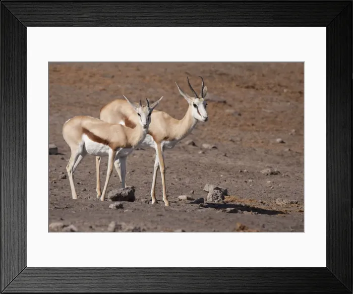 Framed Print : DDE-90021272 Framed Print : DDE-90021272
