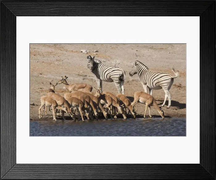 Framed Print : DDE-90021273 Framed Print : DDE-90021273