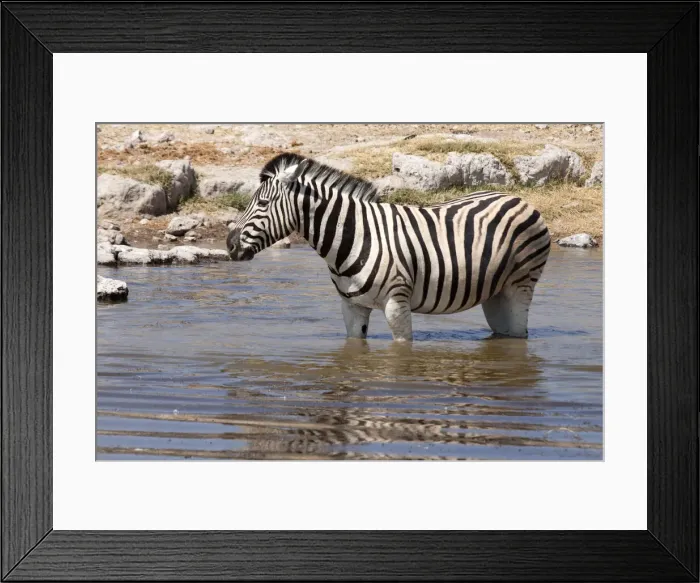 Framed Print : DDE-90021274 Framed Print : DDE-90021274