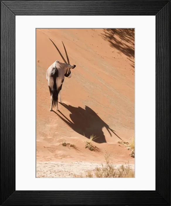 Framed Print : DDE-90021270 Framed Print : DDE-90021270