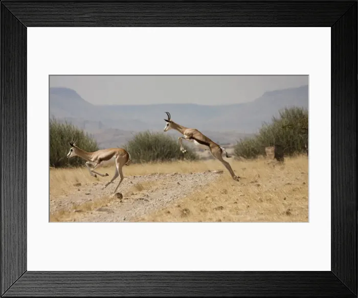Framed Print : DDE-90021278