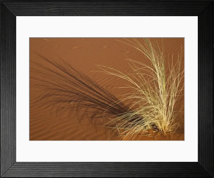 Framed Print : DDE-90021283 Framed Print : DDE-90021283