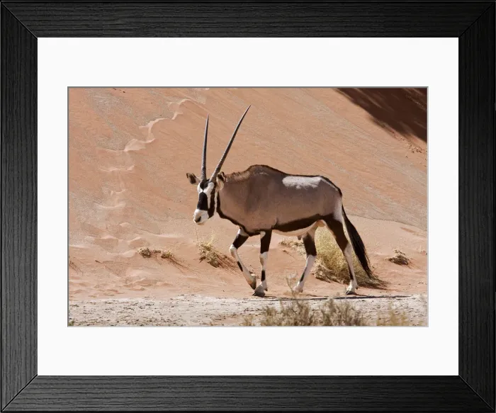 Framed Print : DDE-90021281 Framed Print : DDE-90021281