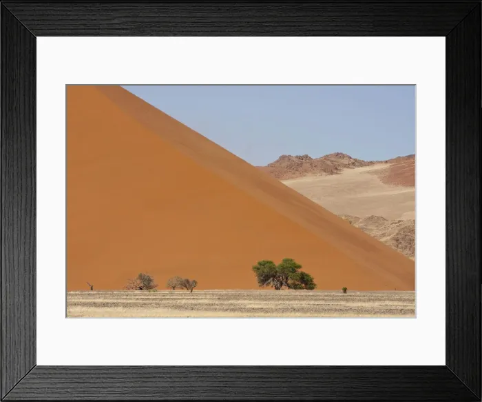 Framed Print : DDE-90021284
