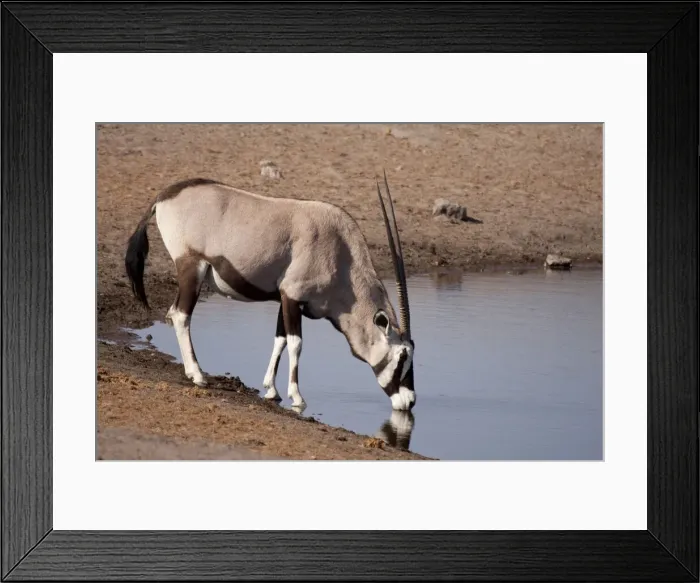 Framed Print : DDE-90021286 Framed Print : DDE-90021286