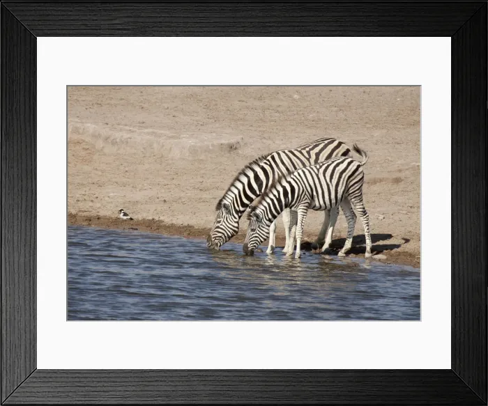 Framed Print : DDE-90021287 Framed Print : DDE-90021287