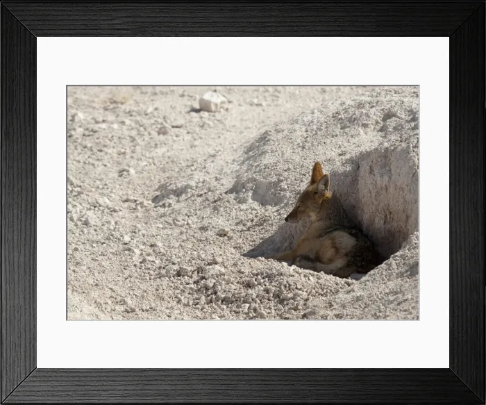Framed Print : DDE-90021291 Framed Print : DDE-90021291