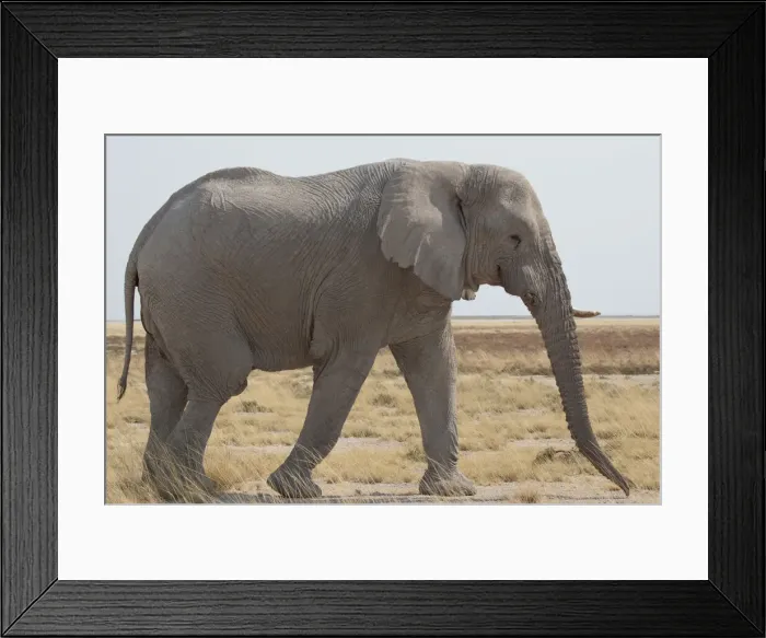 Framed Print : DDE-90021293 Framed Print : DDE-90021293