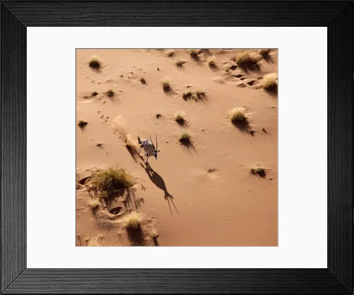 Framed Print : DDE-90021302