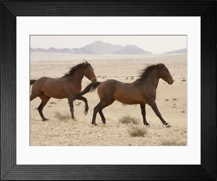 Framed Print : DDE-90021303 Framed Print : DDE-90021303
