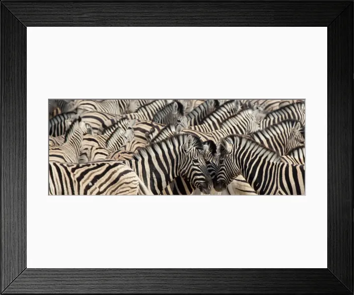Framed Print : DDE-90021301 Framed Print : DDE-90021301