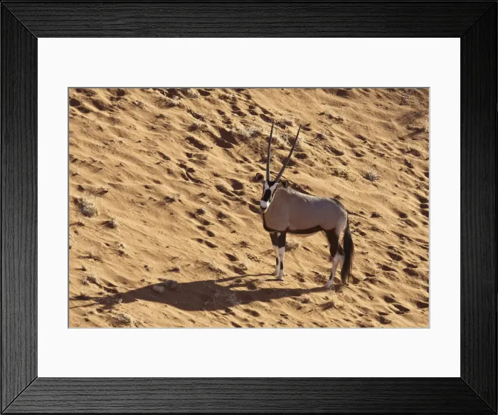 Framed Print : DDE-90021313 Framed Print : DDE-90021313