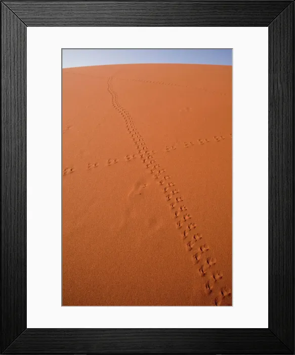 Framed Print : DDE-90021315 Framed Print : DDE-90021315