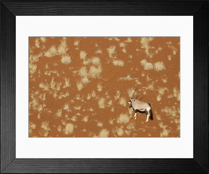 Framed Print : DDE-90021312 Framed Print : DDE-90021312