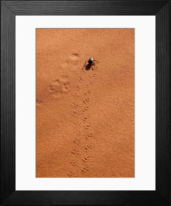 Framed Print : DDE-90021317 Framed Print : DDE-90021317