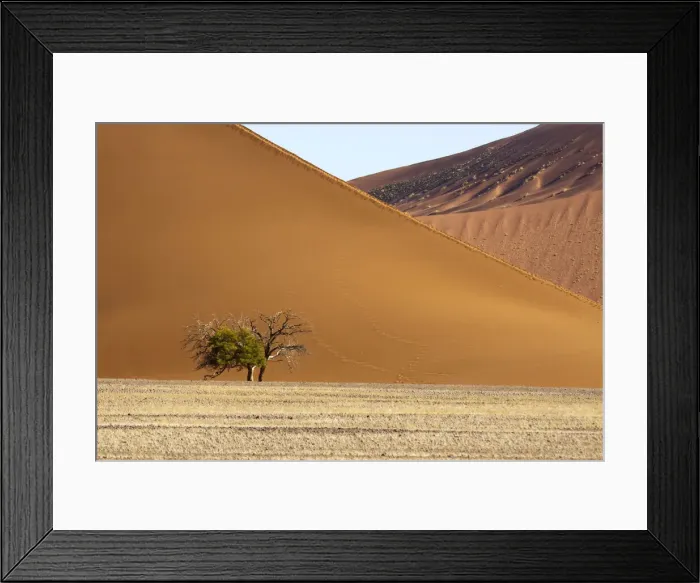 Framed Print : DDE-90021318 Framed Print : DDE-90021318
