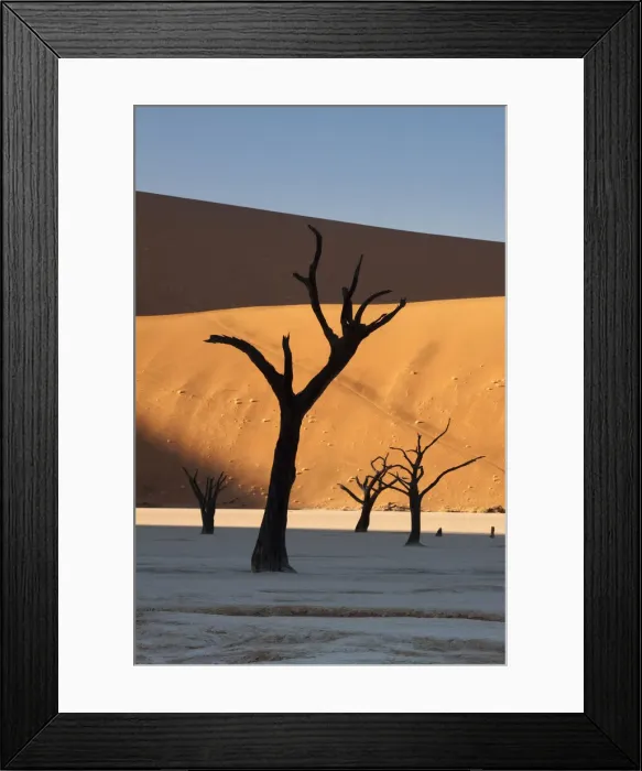 Framed Print : DDE-90021320 Framed Print : DDE-90021320