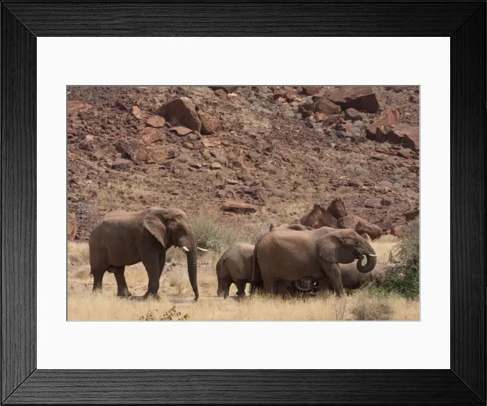 Framed Print : DDE-90021322 Framed Print : DDE-90021322