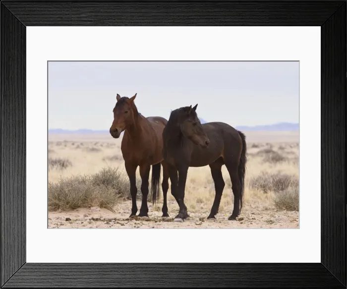 Framed Print : DDE-90021325 Framed Print : DDE-90021325