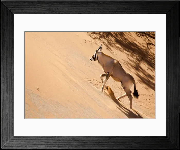Framed Print : DDE-90021321